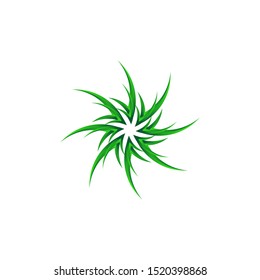 green leaf with butterfly logo for spa / salon