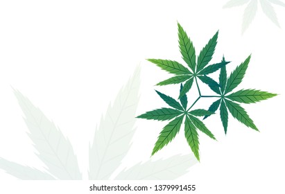Green leaf of cannabis