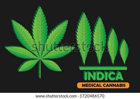 Green leaf of Cannabis Indica. Vector illustration of medical marijuana. Simple form, for graphic design of logo, emblem, sign, badge, label, isolated on orange background.