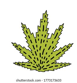 Grünes Blatt Cannabis marihuana.