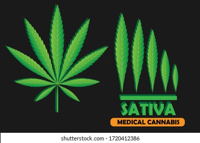 Hoja verde de Cannabis Sativa. Ilustración vectorial de la marihuana medicinal. Forma simple, para el diseño gráfico de logotipo, emblema, signo, placa, etiqueta, aislado en fondo naranja.