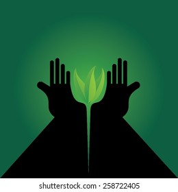 green leaf caring by hands 