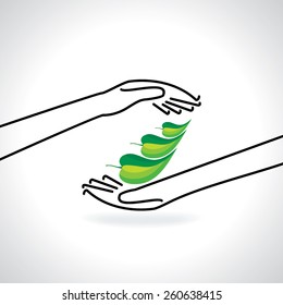 green leaf caring by hands save green concept 