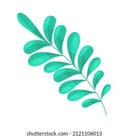 Green leaf in cartoon style. Plant leaf for decoration. Vector illustration isolated on white background.