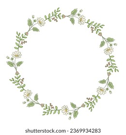 green leaf chamomile plant branch art drawn round frame