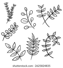 Green Leaf Clipart – Botanical Nature Set	
