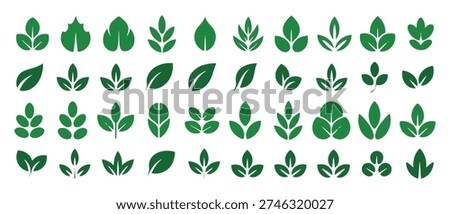 Green leaf cluster icons and organic symmetrical plant symbols. vector illustration eps 10