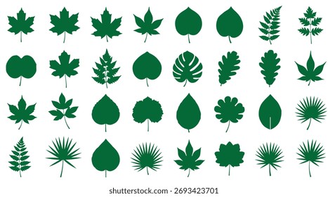 Colección verde de la hoja aislada en un fondo blanco