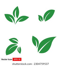 Colección de hojas verdes. Conjunto de hojas sobre fondo blanco en estilo plano. para bio y ecologo.