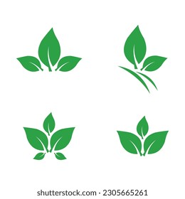 Colección de hojas verdes. Establece hojas sobre fondo blanco en estilo plano. elemento para el logotipo de bio y eco