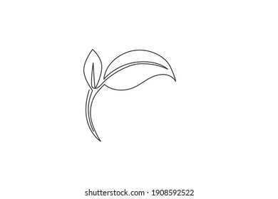 Green leaf. Continuous one line drawing of leaf tree minimalist vector illustration design on white background. Isolated simple line modern graphic style. Hand drawn graphic concept for spa logo