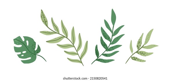 Green leaf decorations set. Natural leaves of foliage plants. Botanical decorative design elements. Modern stylized botany decor collection. Flat vector illustrations isolated on white background