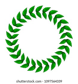 Green leaf. Decorative element. For your use. Hand drawing.