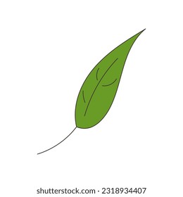 Green leaf design element drawing
