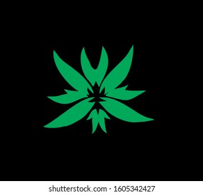 
green leaf design logo with black background