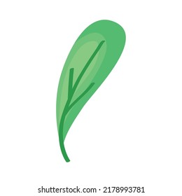diseño de hoja verde sobre blanco