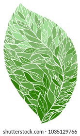 Green leaf with different shades of color.