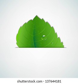 Green Leaf With Divide With Gradient Mesh, Vector Illustration