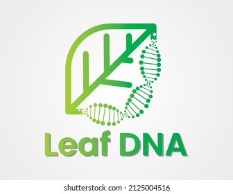 green leaf dna logo vector