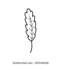 green leaf doodle icon, vector illustration