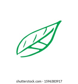 green leaf in doodle style in vector. green leaf logo for ecology concept