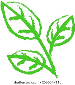 Green leaf drawing in hand drawn style. Leaf in doodle style. Stylized leaf isolated from background. Vector illustration