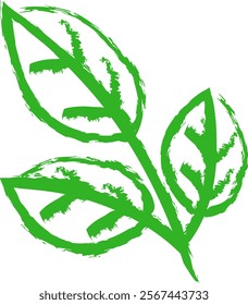 Green leaf drawing in hand drawn style. Leaf in doodle style. Stylized leaf isolated from background. Vector illustration