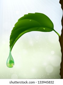green leaf with a drop of flowing. ecological theme