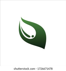 green leaf drop logo water vector design template
