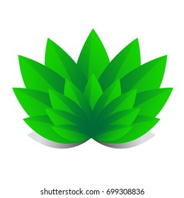 Green Leaf ECO