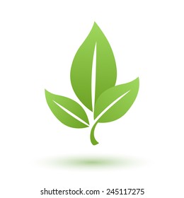 Green leaf eco bio icon. Environment symbol. Nature emblem.