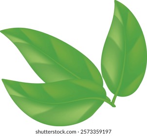 Green leaf eco design element icon. friendly nature elegance symbol. Natural element ecology symbol,organic icon.Eps 10