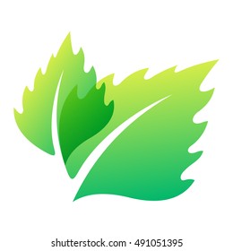 Green leaf eco design element icon