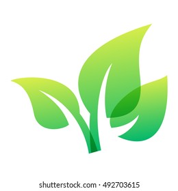 Green leaf eco design element icon