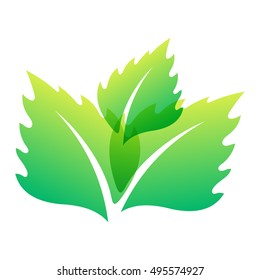 Green leaf eco design element icon