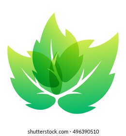 Green leaf eco design element icon