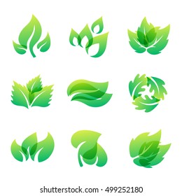 Green leaf eco design element icon