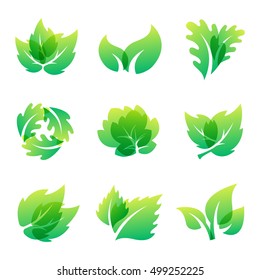 Green leaf eco design element icon