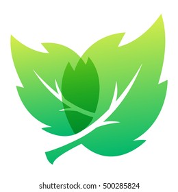 Green leaf eco design element icon