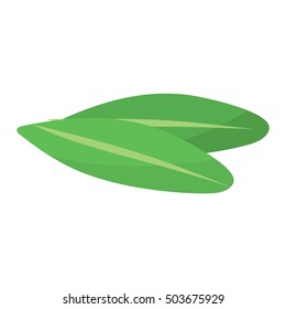 Green leaf eco design element icon