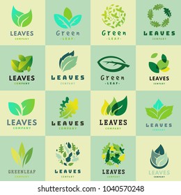 Green leaf eco design friendly nature elegance symbol and natural element ecology organic vector illustration.