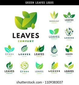 Green leaf eco design friendly nature elegance symbol and natural element ecology organic vector illustration.