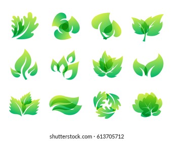 Green leaf eco design friendly nature elegance symbol and natural element ecology organic vector illustration.
