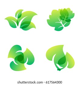 Green leaf eco design friendly nature elegance symbol and natural element ecology organic vector illustration.