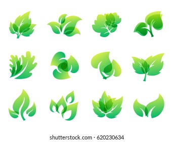 Green leaf eco design friendly nature elegance symbol and natural element ecology organic vector illustration.