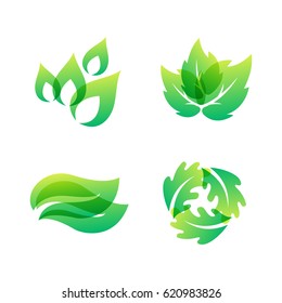 Green leaf eco design friendly nature elegance symbol and natural element ecology organic vector illustration.