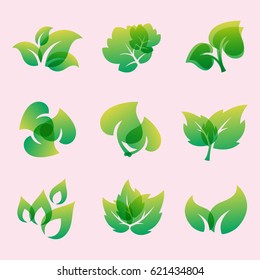 Green leaf eco design friendly nature elegance symbol and natural element ecology organic vector illustration.