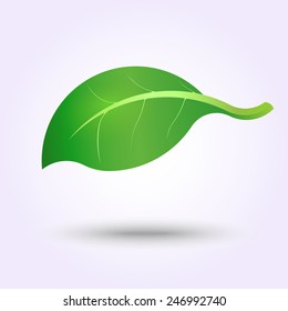 green leaf, eco design, eco icon - vector illustration (EPS10)