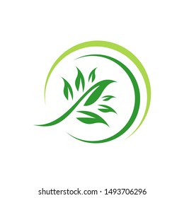 green leaf eco friendly logo design vector icon illustrations