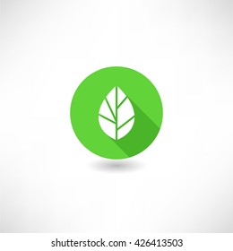 Green Leaf. Eco icon